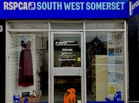 RSPCA charity shop to reopen this week 